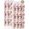 APRON HEROES - STACK’nGO, Strong & Sturdy, Cupcake Container, Cupcake Holders, Plastic Cupcake Containers, To Go Boxes, Cupcake Holders with Lid, 12 Cupcakes per Container, 12 Containers Per Order