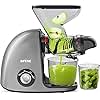 Dual Mouth Cold Press Juicer, SiFENE Slow Masticating Juicer Machines for Fruit & Vegetable, Juice Maker Extractor, Easy to Clean (Gray)